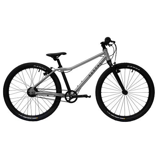 Dětské kolo Rascal 24 Titanium extremsport.cz